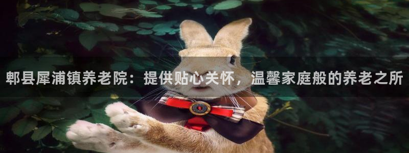 韦德新品