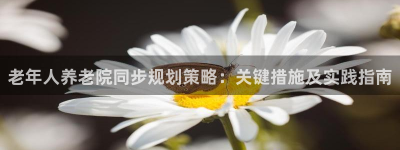 韦德下载
