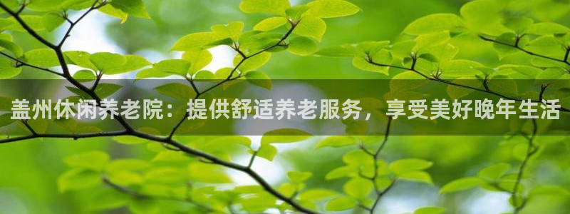 韦德1946国际娱乐