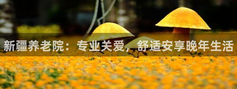 韦德1946娱乐手机版