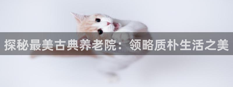 韦德 网站