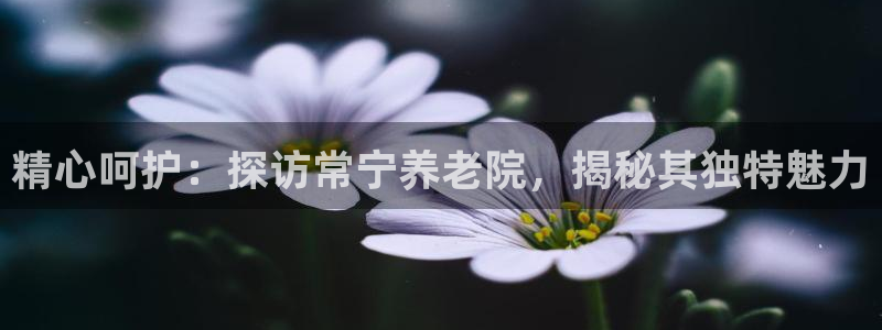 韦德 网址