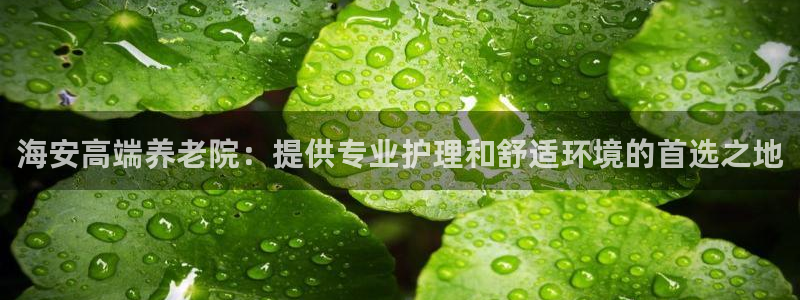 韦德1946娱乐
