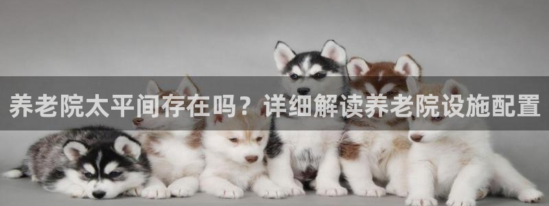 韦德游戏网址