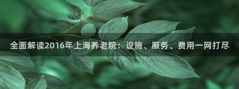 韦德2014