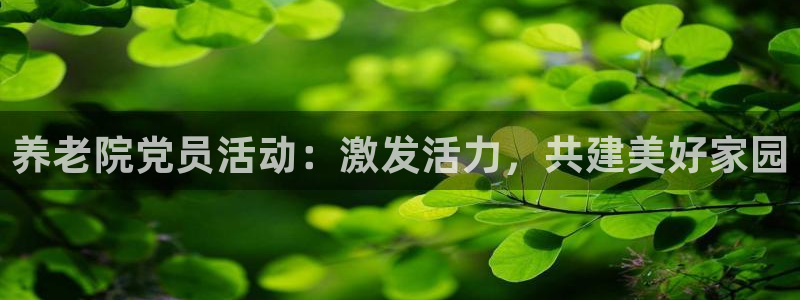 韦德是哪一届