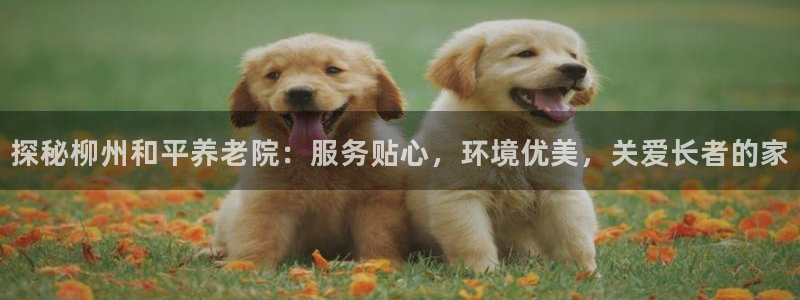 韦德1946手机网址