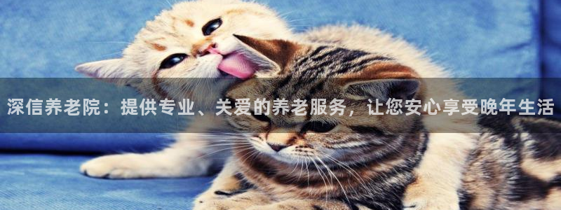 韦德官方网址