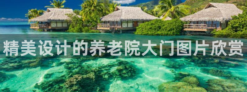 韦德1946网址