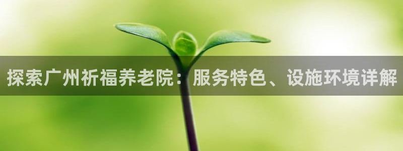 韦德2016