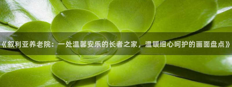 韦德1946博客