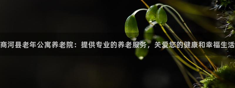 韦德1946客户端