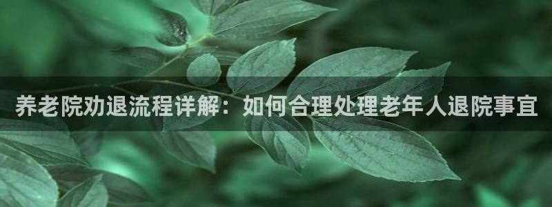 韦德网址是多少