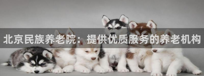 1946韦德网站