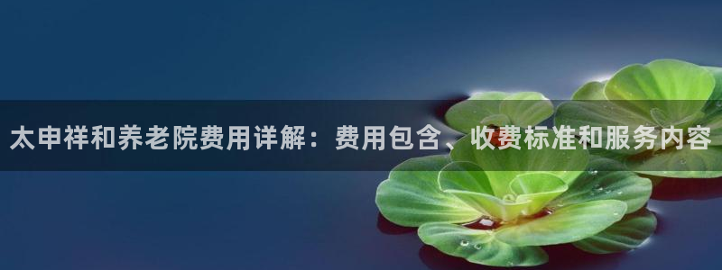 韦德官方网址大全