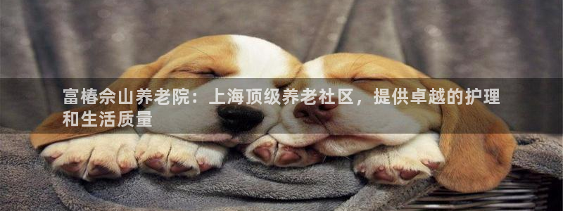 韦德1946最新网站