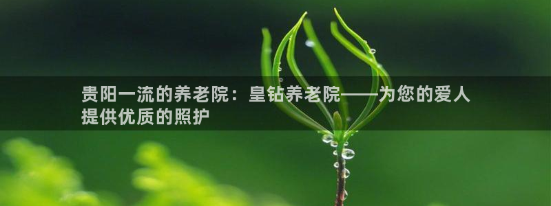 韦德1946国际
