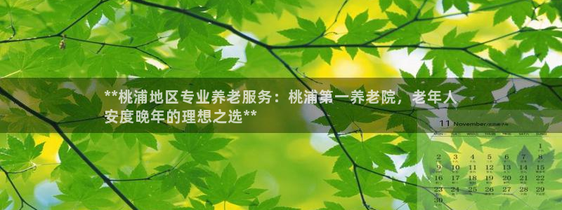 韦德app手机下载