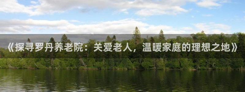 韦德 网址