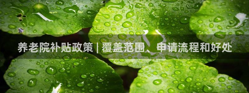 韦德1946体育