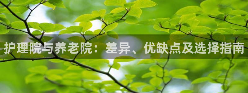 韦德1946bv1946