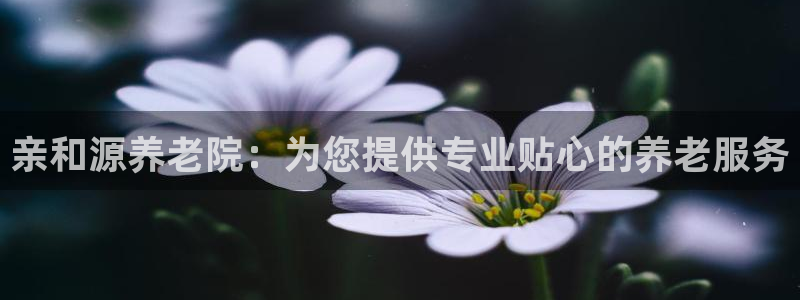 1946韦德官方网站