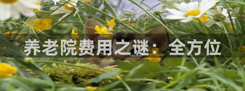 韦德1946下载