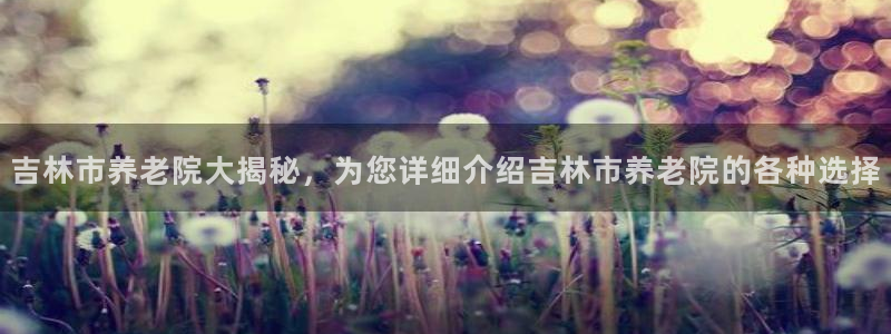 韦德2014