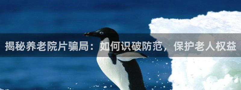 韦德1946手机
