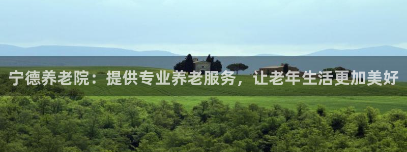 韦德属于什么
