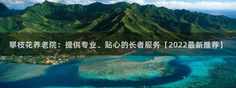韦德网址