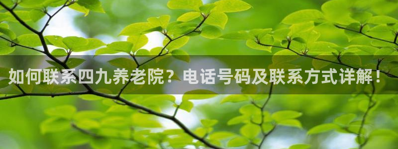 韦德网站是多少