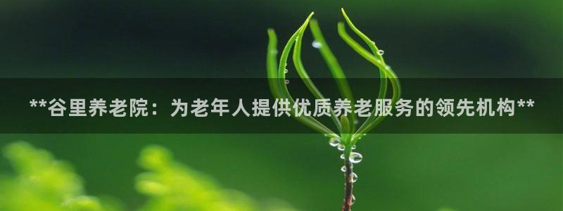 韦德1946体育