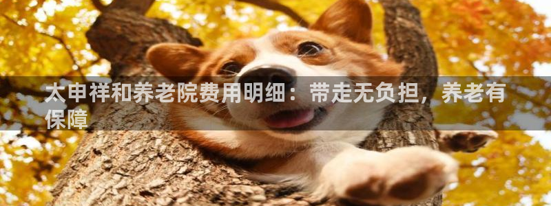 韦德的地位