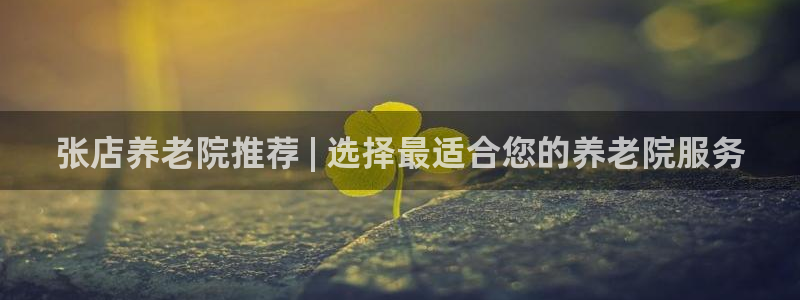 韦德观战总决赛G3